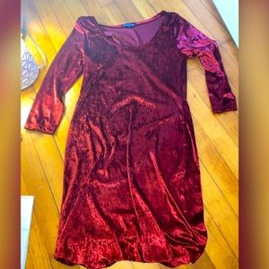 Velvet Long Sleeve Dress
